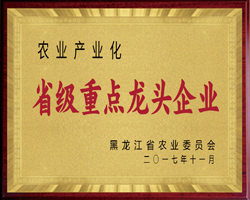 荣誉资质