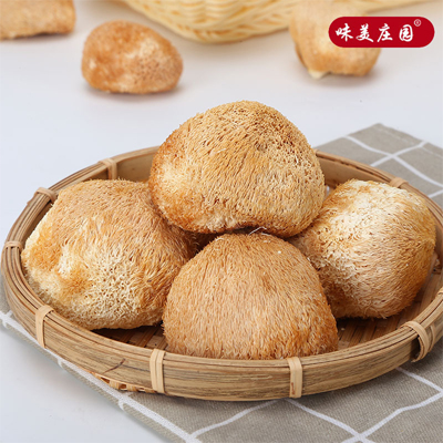 东北猴头菇