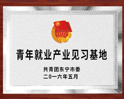 荣誉资质