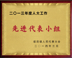 荣誉资质